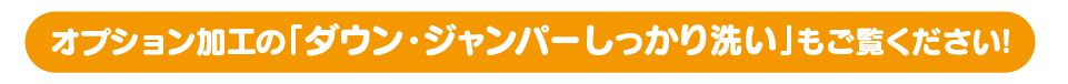 オプション加工の「ダウン・ジャンパーしっかり洗い」もご覧ください!